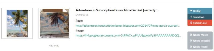 Nina Garcia Quarterly #03 (NGQ03) Printalloverme Image Theft