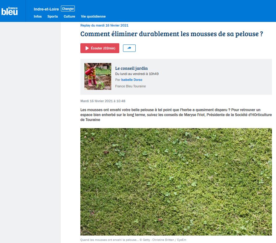 Comment éliminer durablement les mousses de sa pelouse?